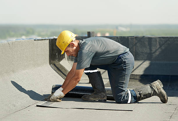 Best Insulation Repair Services  in North Shore, CA